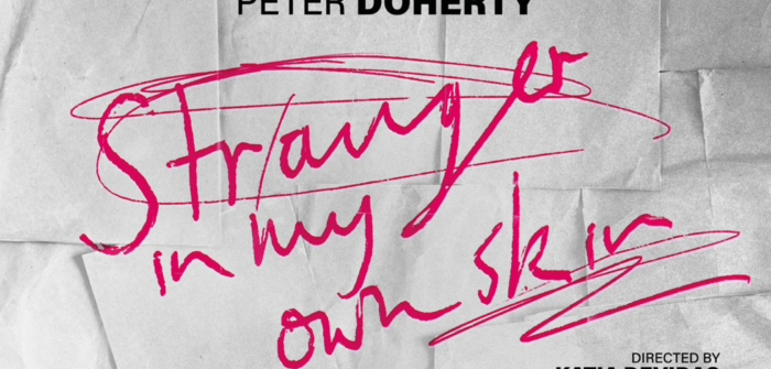 Cinema: Peter Doherty: Stranger In My Own Skin