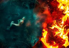 Cinema Live: Siegfried